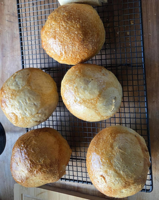 Sourdough Dinner Rolls (6 pack) - Tasman Loaf Co